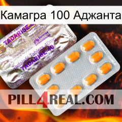 Камагра 100 Аджанта new12